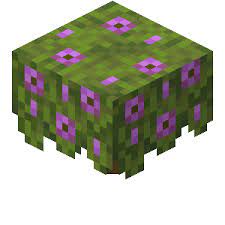 1.71 About Minecraft Download Minercamp APK icon