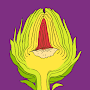 Comé+Plantas Apk [Come Mas Plantas App] icon