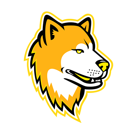 Akita VPN APK icon