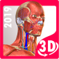 Anatomy Learning - 3D Atlas icon