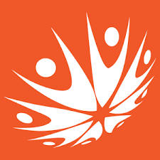 API Mode APK icon