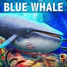 Blue Whale Mod APK icon