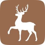 Card resident BUT APK icon