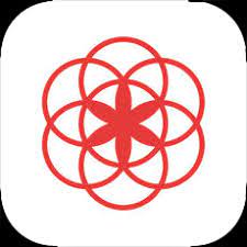 Clue Period Tracker APP icon