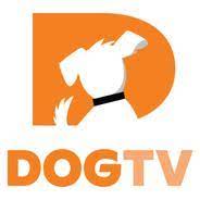 Dog TV APK APK