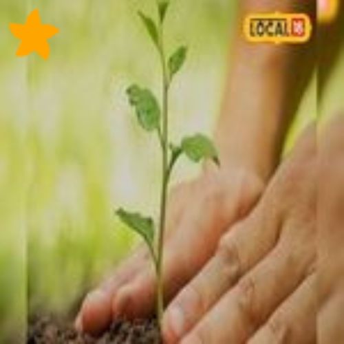 Hariyalo Rajasthan APP icon
