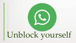 How To Unblock Yourself on Whatsapp APK