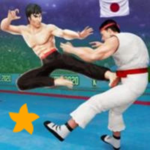 Karate Fighting APK icon
