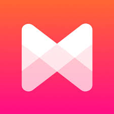 Musixmatch MOD APK icon
