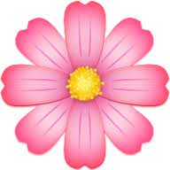 Mysj Trace Download icon