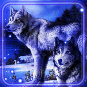 NightWolf APK icon