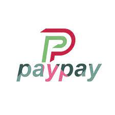 PayPay APK icon