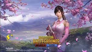 PUBG MOBILE LITE 0.23.0 APK icon