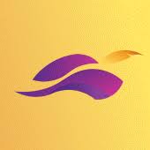 Robinhood Rider APK icon