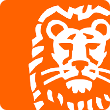 Saldo Niet Zichtbaar Ing APP icon