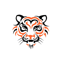 Tigon VPN APK icon