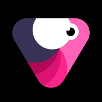 Velomingo APK icon