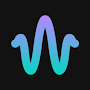 Wavelet Pro APK icon
