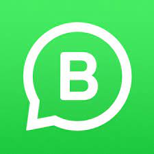 Whatsapp Business Beta APK icon