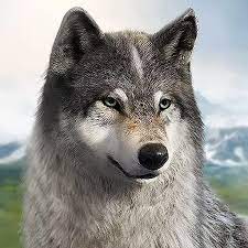 Wolf Game The Wild Kingdom Mod APK icon